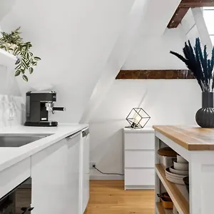 Charming Loft City Center Appartamento Copenaghen
